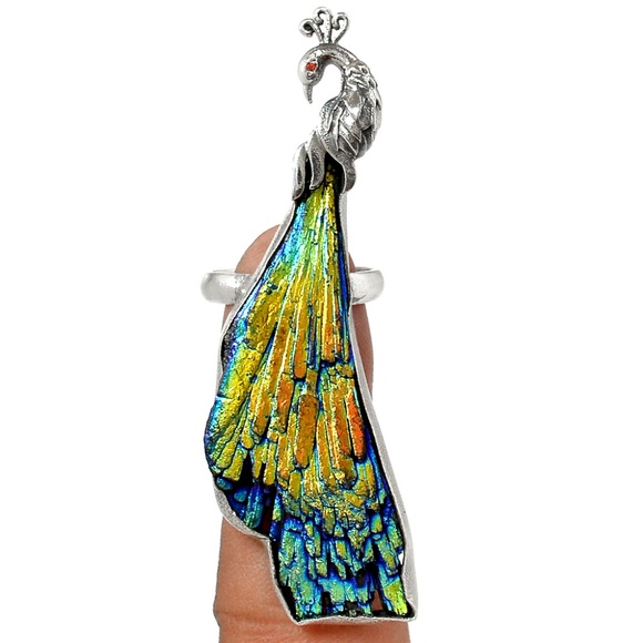 Top Seller, Top Rated, Fast Shipper - Picture 6 of 8